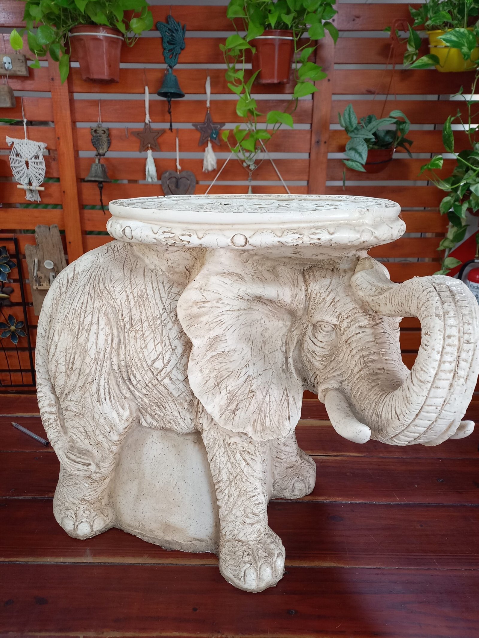Elefante recoge migas de mesa