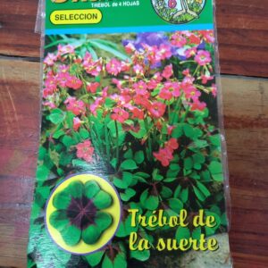 Oxalis M11