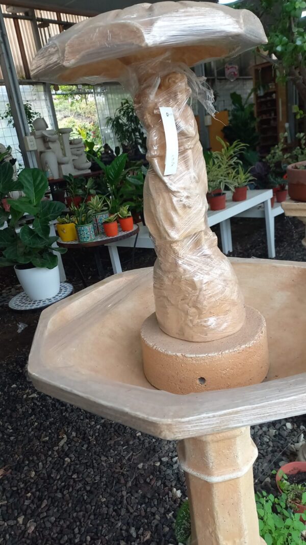 Fuente enamorados con paraguas
