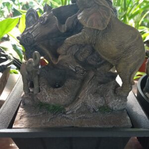 Fuente de agua 4170030